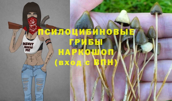 соль курить ск Остров