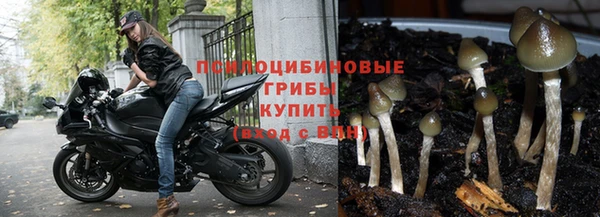 каннабис Осинники