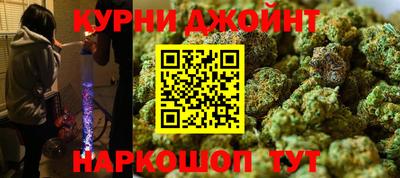 стаф Гай