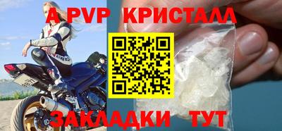 стаф Гай