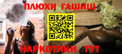стаф Гай