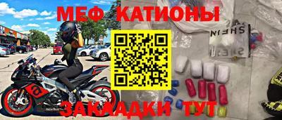 стаф Гай