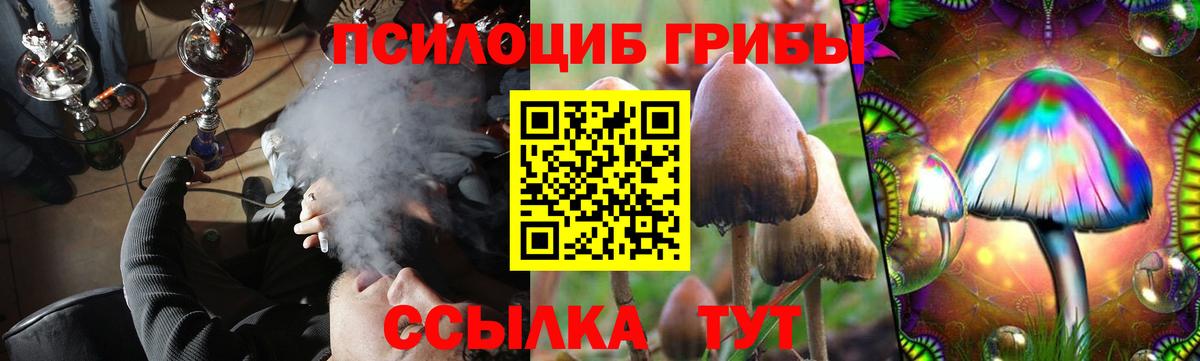 Дальнереченск  Псилоцибиновые грибы Psilocybine cubensis  Вход с VPN  Галлюциногенные грибы мицелий 