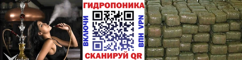 Каннабис White Widow сайты даркнета какой сайт Дальнереченск
